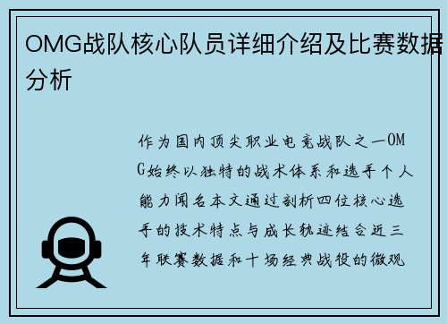 OMG战队核心队员详细介绍及比赛数据分析